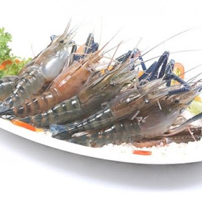 Các Món Ăn Hải Sản 1